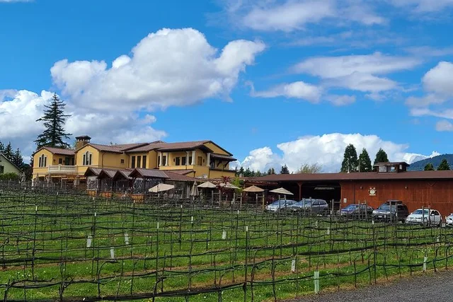 Dundee Private Wine Tour 9.5 hr - Image 2