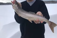 Fairbanks Aurora Borealis Ice Fishing Adventure thumbnail 3