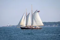 Portland Windjammer Sail on Casco Bay thumbnail 3