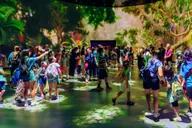 New York American Museum of Natural History Ticket thumbnail 4