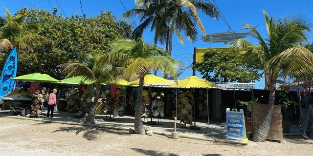 Miami Key Largo & Islamorada Open-Top Bus Tour - Image 5