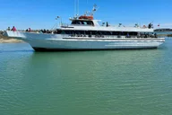 Myrtle Beach Dolphin & Sealife Cruise thumbnail 5