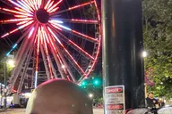 Atlanta Night-Time City Lights Bus Tour thumbnail 3