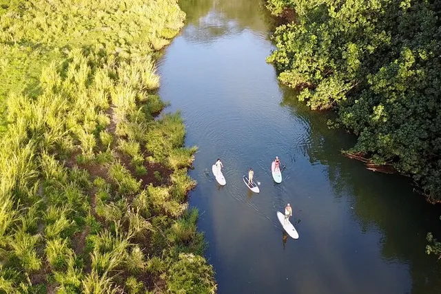 Wailua River Stand Up Paddle Rental - Image 6