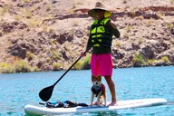Willow Beach Paddleboard Rental on the Colorado River thumbnail 5