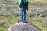 Yellowstone Lamar Valley Hiking Tour thumbnail 4