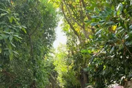 Santa Monica Hidden Stairways & Canyon Paths Tour thumbnail 3