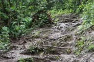 Maui Road to Hana Self-Guided Audio Tour thumbnail 4