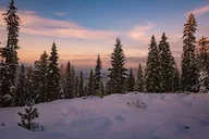 Tulare Sequoia National Park Adventure thumbnail 3