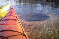 Yellowstone Lake Kayak Tour thumbnail 2