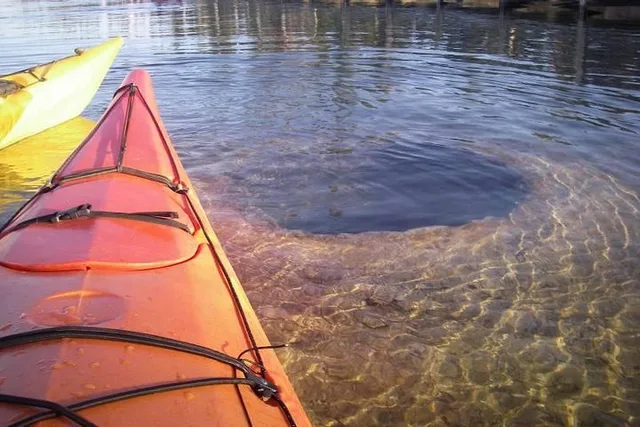 Yellowstone Lake Kayak Tour - Image 2