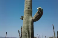 Apache Trail Steamboat Tour thumbnail 3