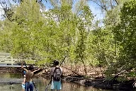 Miami Mangrove Kayak and SUP Tour 2.5 hr thumbnail 6