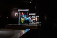 Las Vegas Bodies The Exhibition thumbnail 4