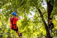 Branson Zipline Canopy Tour thumbnail 3
