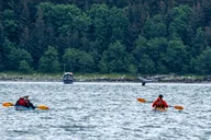 Juneau Kayak Adventure with Whales thumbnail 3