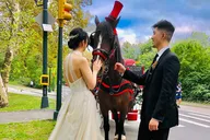 New York Central Park Champagne Carriage Tour 50 min thumbnail 6