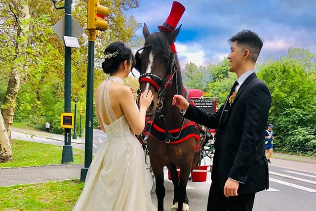 New York Central Park Champagne Carriage Tour 50 min - Image 6