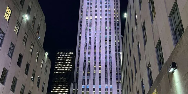 New York Holiday Lights Tour with Rockefeller Tree - Image 5