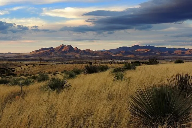 Tucson Wine Tasting Experience in the Desert - Image 3