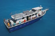 Key West Party Boat Fishing Trip thumbnail 3