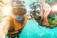 Key West Dolphin and Reef Snorkel Trip with Sunset thumbnail 3