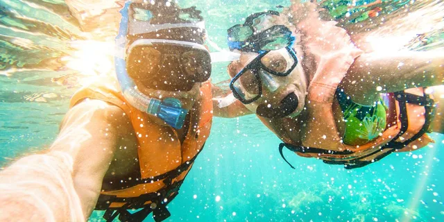 Key West Dolphin and Reef Snorkel Trip with Sunset - Image 3