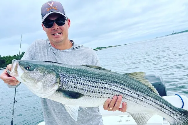 Portland Striped Bass Fishing Trip 4 hr - Image 4