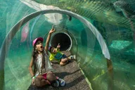Miami Zoo Admission Ticket thumbnail 2