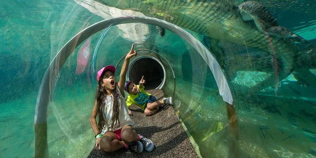 Miami Zoo Admission Ticket - Image 2