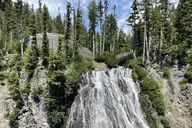 Mt. Rainier National Park Tour with Local Guide thumbnail 4