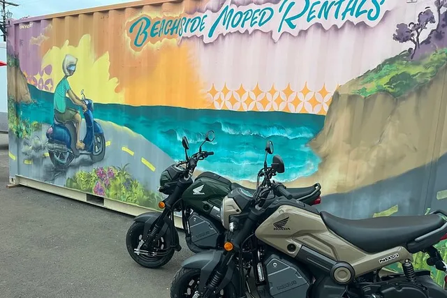 Encinitas Moped Rental - Image 5