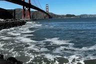 San Francisco City Tour Half-Day thumbnail 4