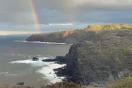 Maui Open-Air Blowhole & Banyan Forest Tour 2.5 hr thumbnail 5