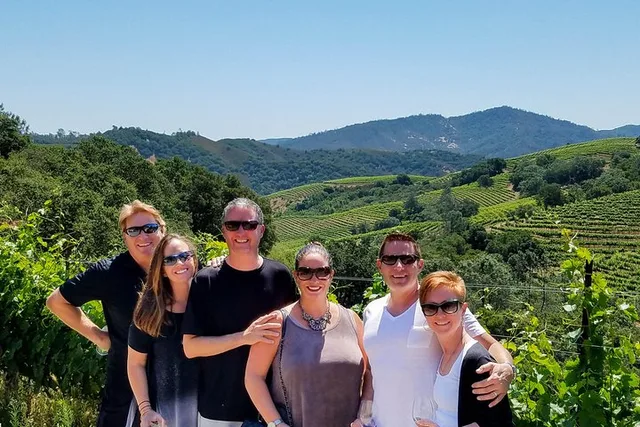 Napa Valley Wine Tour with Local Expert - Image 3