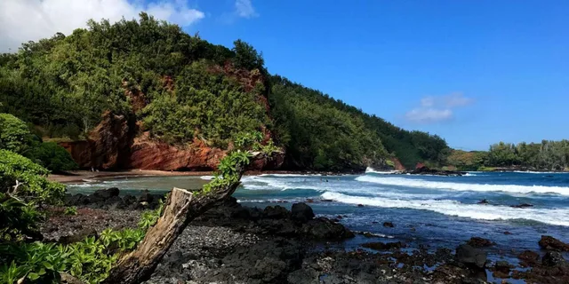 Maui Road to Hana Private Tour with Meals - Image 1