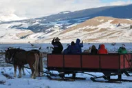 Jackson Hole National Elk Refuge Sleigh Ride thumbnail 4