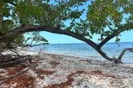 Everglades Pirate and Beach Adventure thumbnail 2