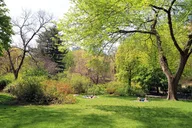 New York City Central Park Scavenger Hunt thumbnail 3