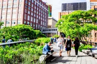 New York City Walking Tour: Hudson Yards, High Line & Greenwich Village thumbnail 6