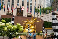 New York City Bus Tour with Photo Stops thumbnail 5