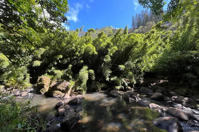 Oahu Waterfall Hike and Beach Road Trip - Image 4