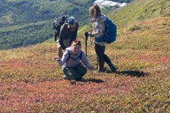 Anchorage Alpine Trek in Chugach State Park thumbnail 3