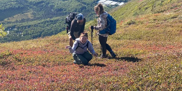 Anchorage Alpine Trek in Chugach State Park - Image 3
