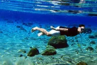 Kailua-Kona Manta Ray Snorkel Tour thumbnail 1