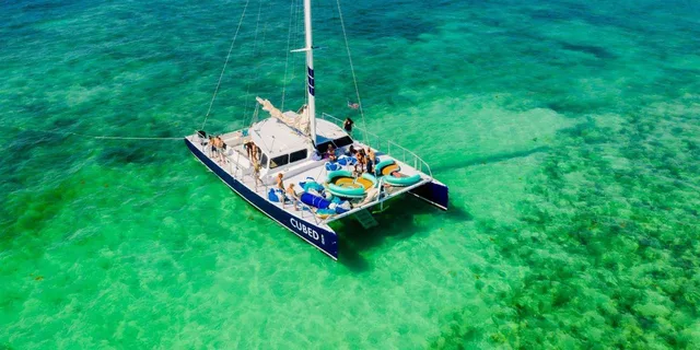 Key West Dolphin Catamaran Sail - Image 2