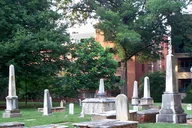 Charlotte Historian-Guided Tour thumbnail 2
