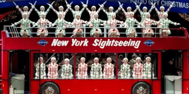 New York Holiday Lights Pedicab Ride - Image 5