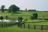 Lexington Horse Farm Tour with Insider Access thumbnail 4