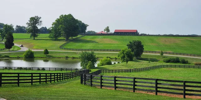 Lexington Horse Farm Tour with Insider Access - Image 4